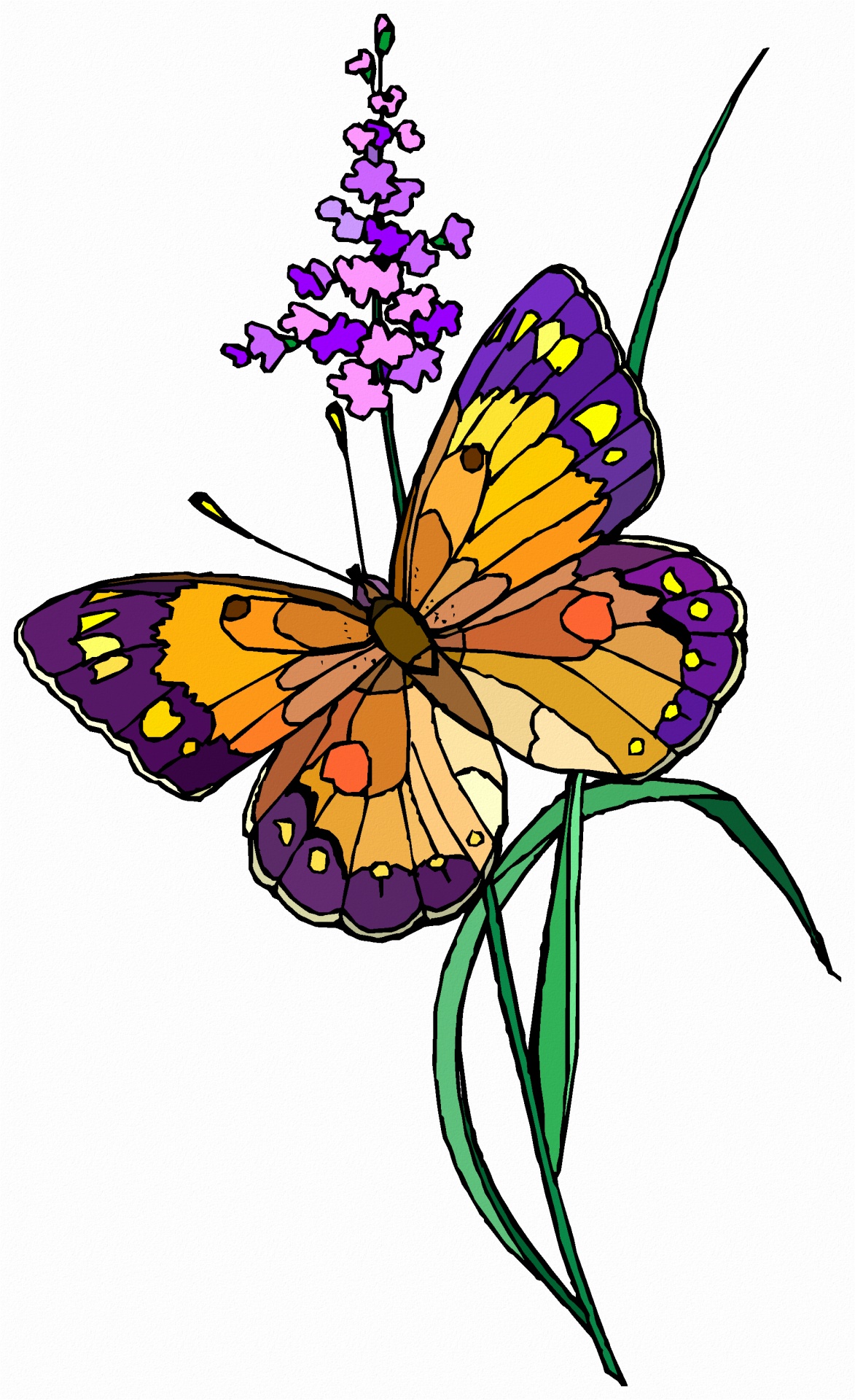 Анимация бабочки