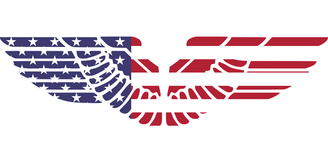 Us wings. Логотип Орел Америки. Американские Крылья. США вектор.