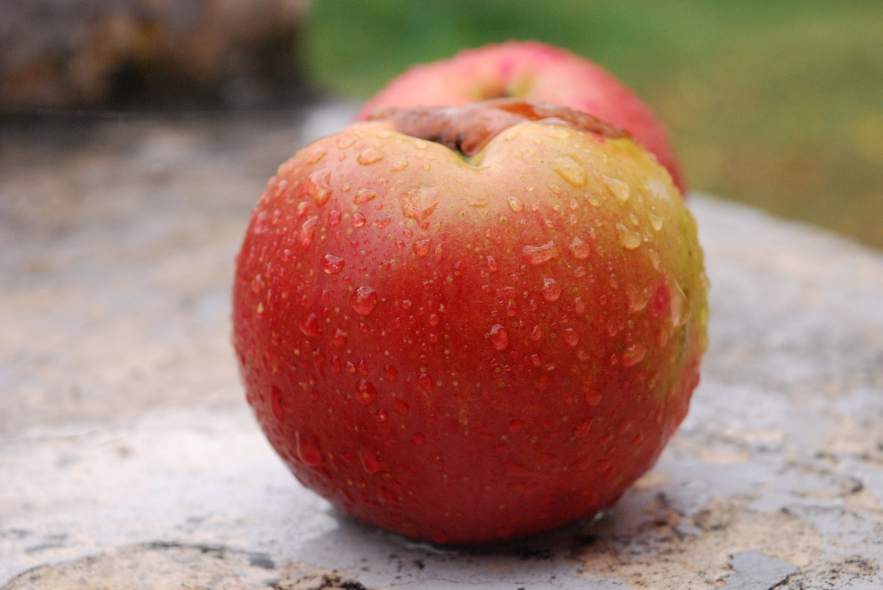 Apple фото. Яблоко. Яблоко фото. Яблоко bmp. Картинки на заставку яблоки.