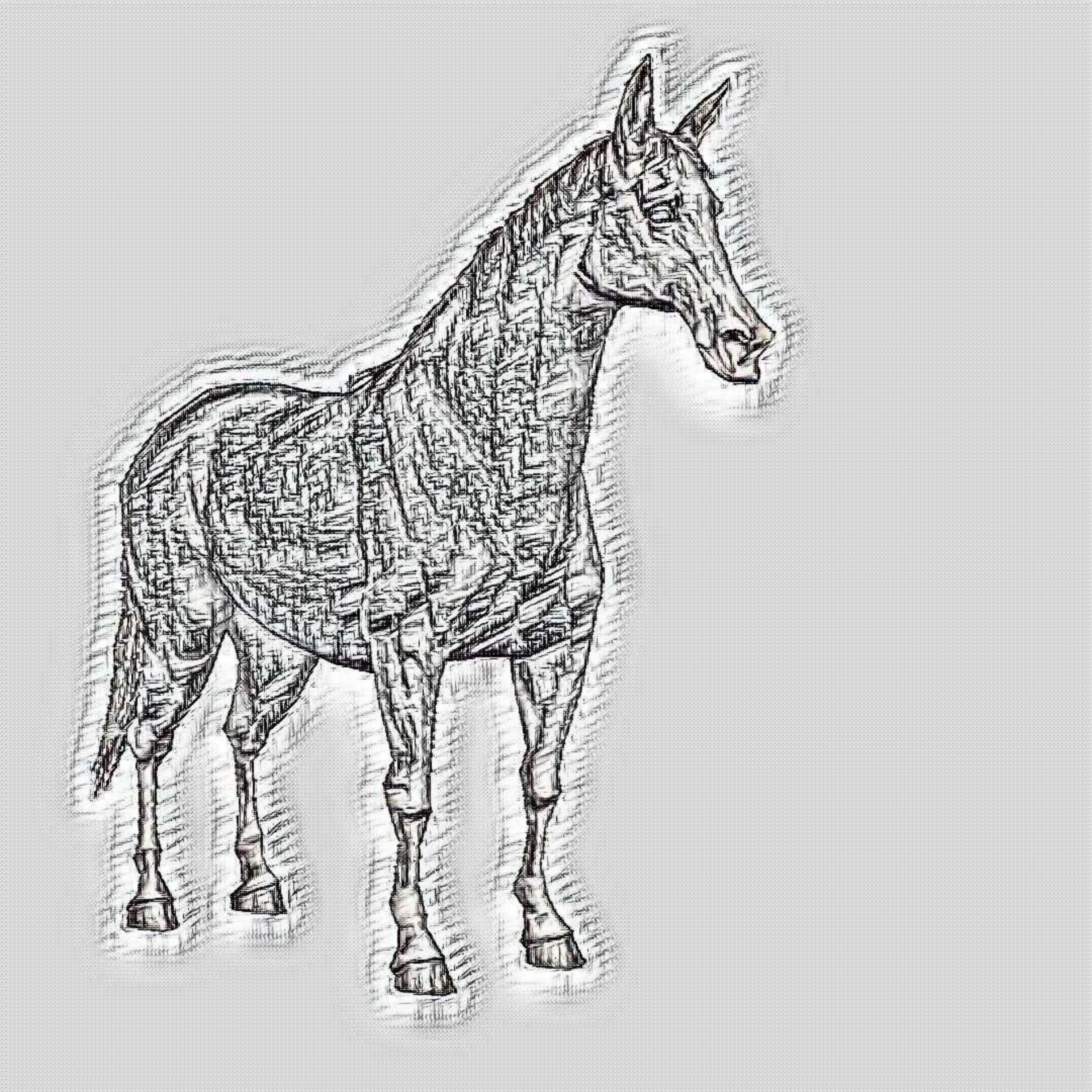 Арабская лошадь эскизы