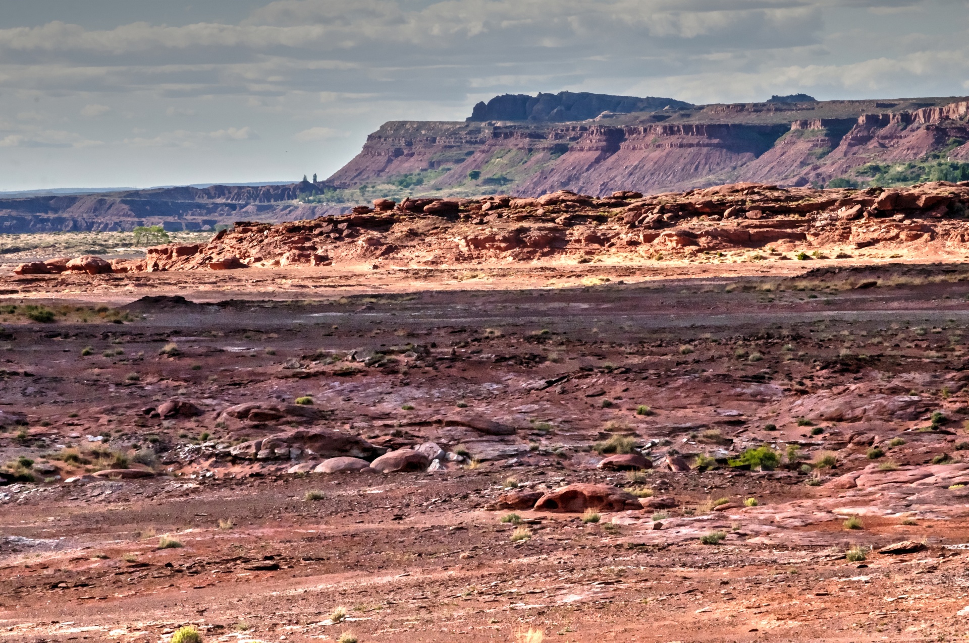 Arizona desert. Пустыня Аризона. Пустынные термиты Аризона. Пустыни Аризоны. Arizona Red Rock фон.