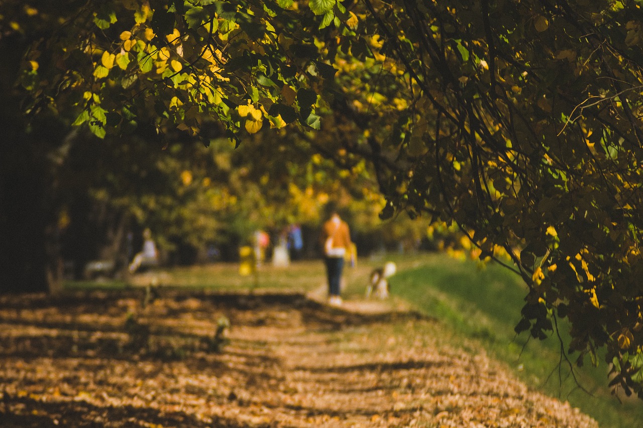 Приятной прогулки. Девушка идет по тропинке. Autumn walk. Фото с пленки природа парк.