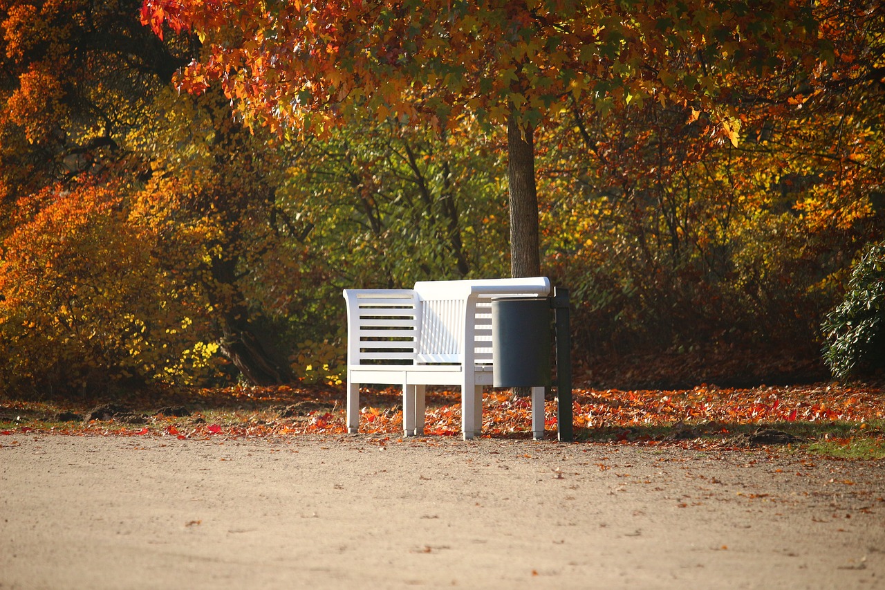 Красивая осень скамейка белая