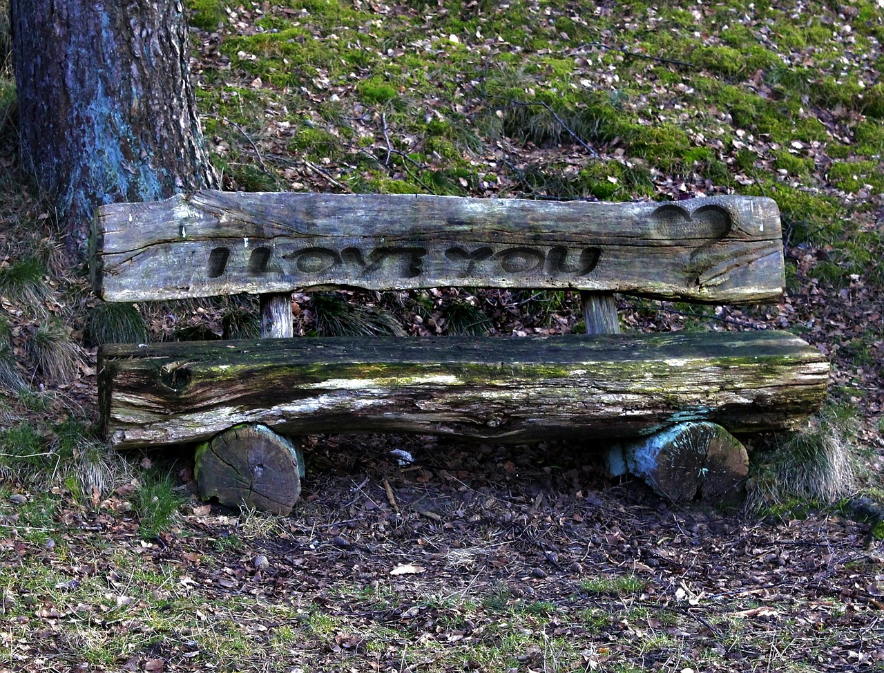 Resting place. Старинная скамейка Военная. Скамейка в лесу во сне. Дерево присело отдохнуть. Park Bench Ультрабетон.