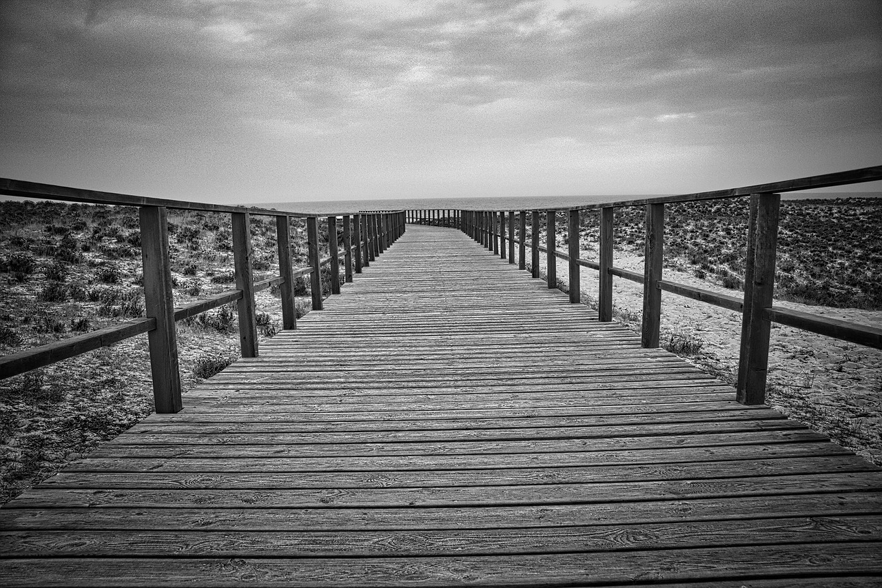 Длинная фотография. Длинный причал. Черно белая картинки мостик к морю. Beach Path.