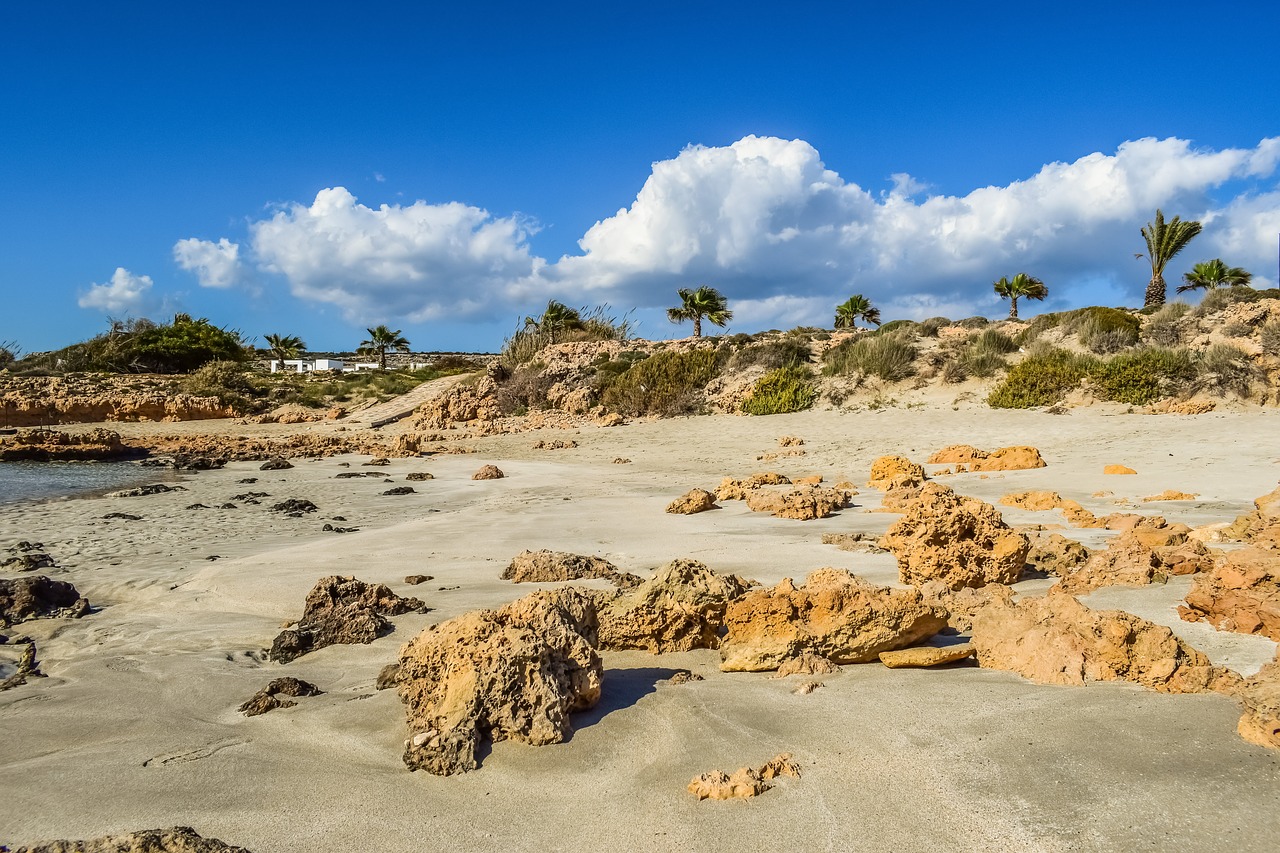 Sand beach отзывы. Пляж с коричневым песком.