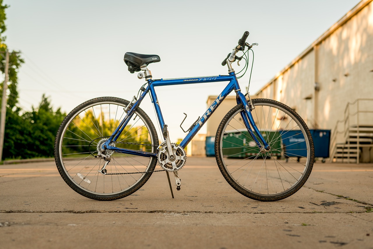 Bike cycle. Велосипед картинка. Велосипед cicli Paganini. Велосипеды на Маэ. Велосипед с автопилотом.