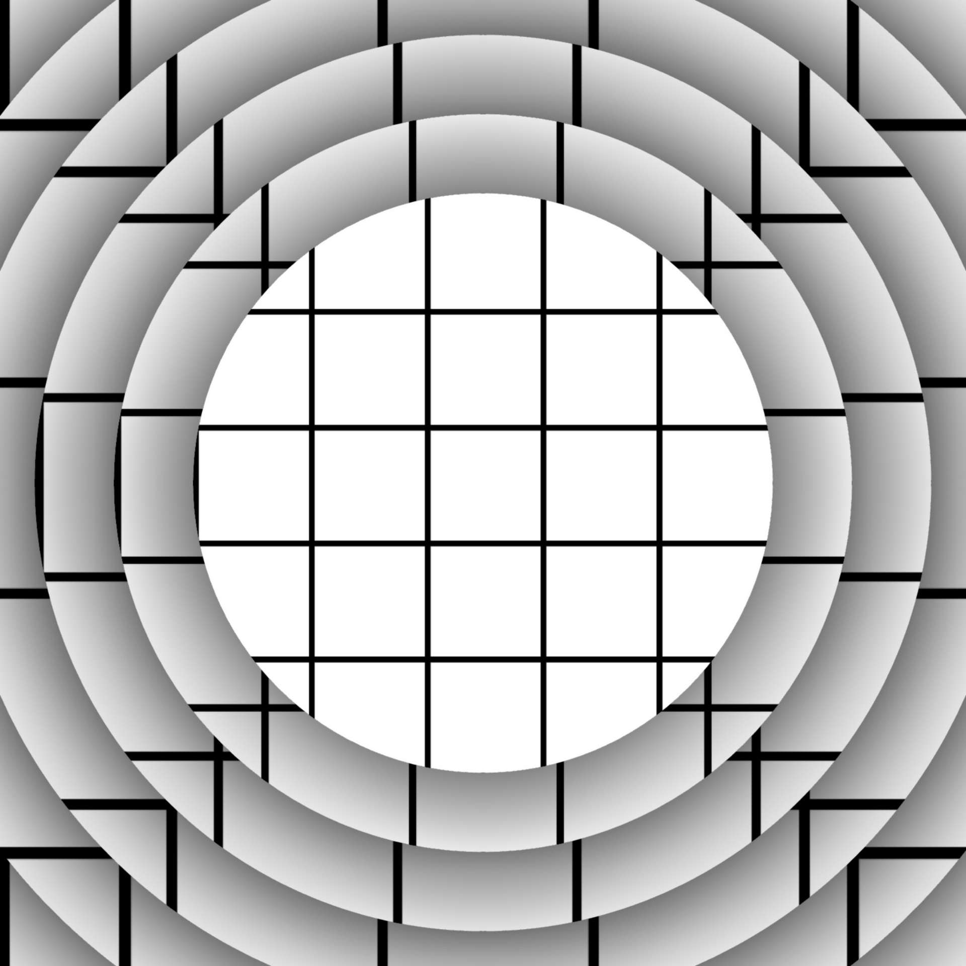 квадратный круг фото