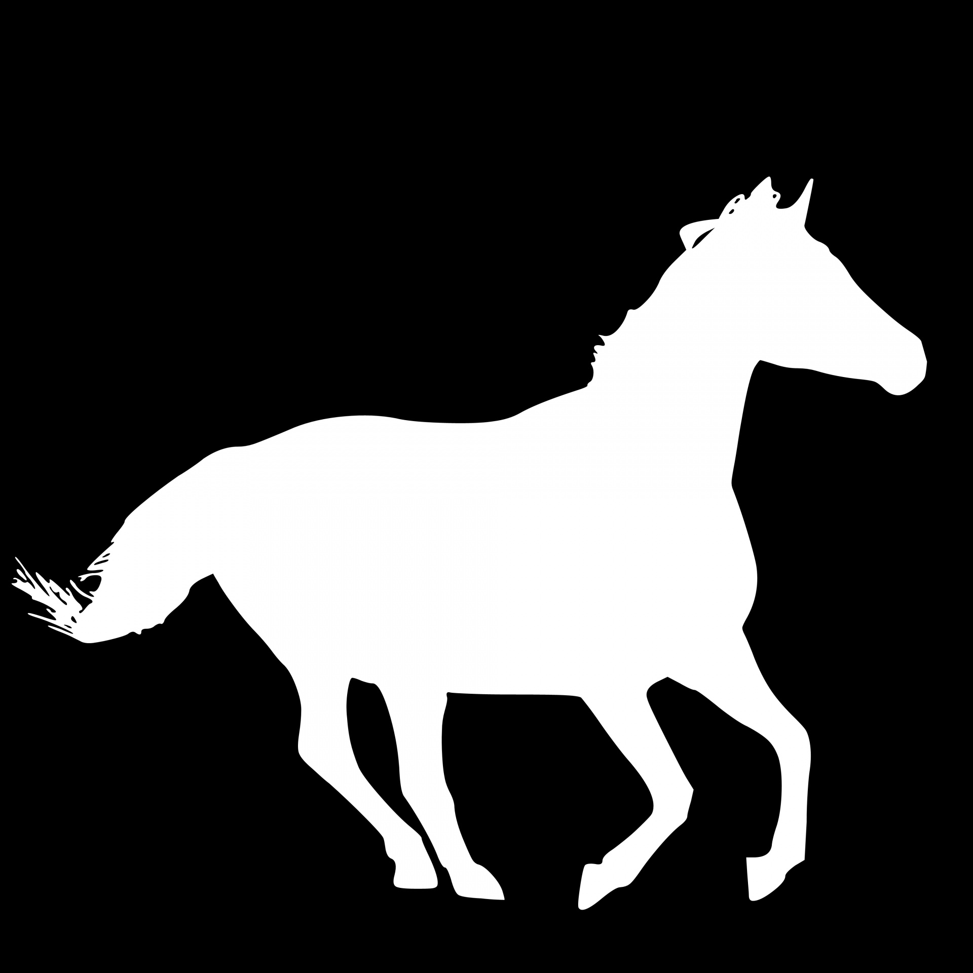 Белая лошадь на черном фоне рисунок