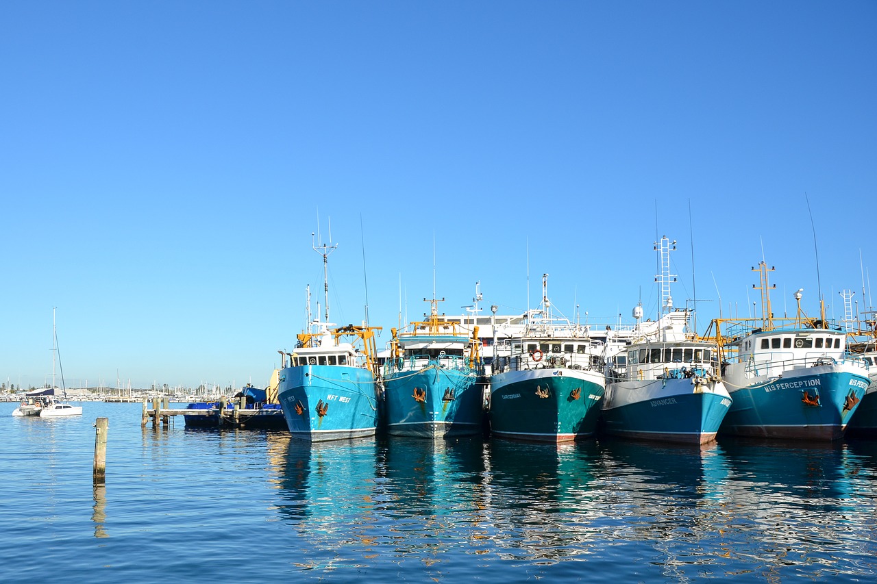 Морской док. Док это в порту. Цвет морская гавань. Датский морской док.