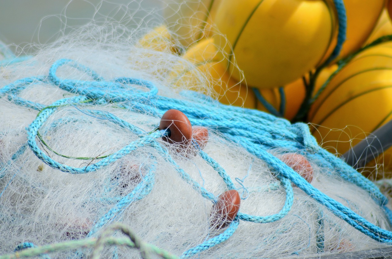 Download free photo of Buoy,float,net,fishing nets,france - from ...