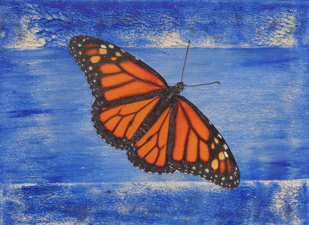 Оранжево синяя бабочка рисунок