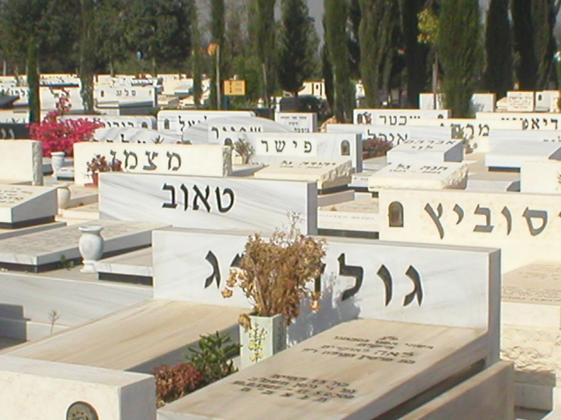 Кладбище в Израиле