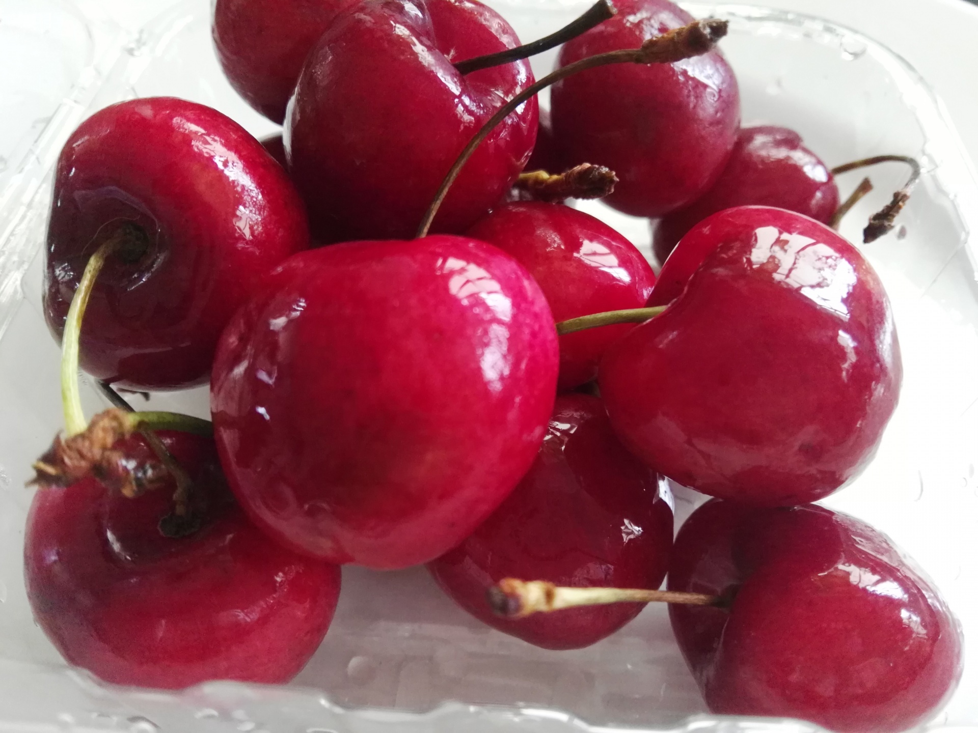 Какая вишневая. Вишня "Red Cherry". Вишня Норд Стар. Плодоножки черешни. Плодоножки вишни.