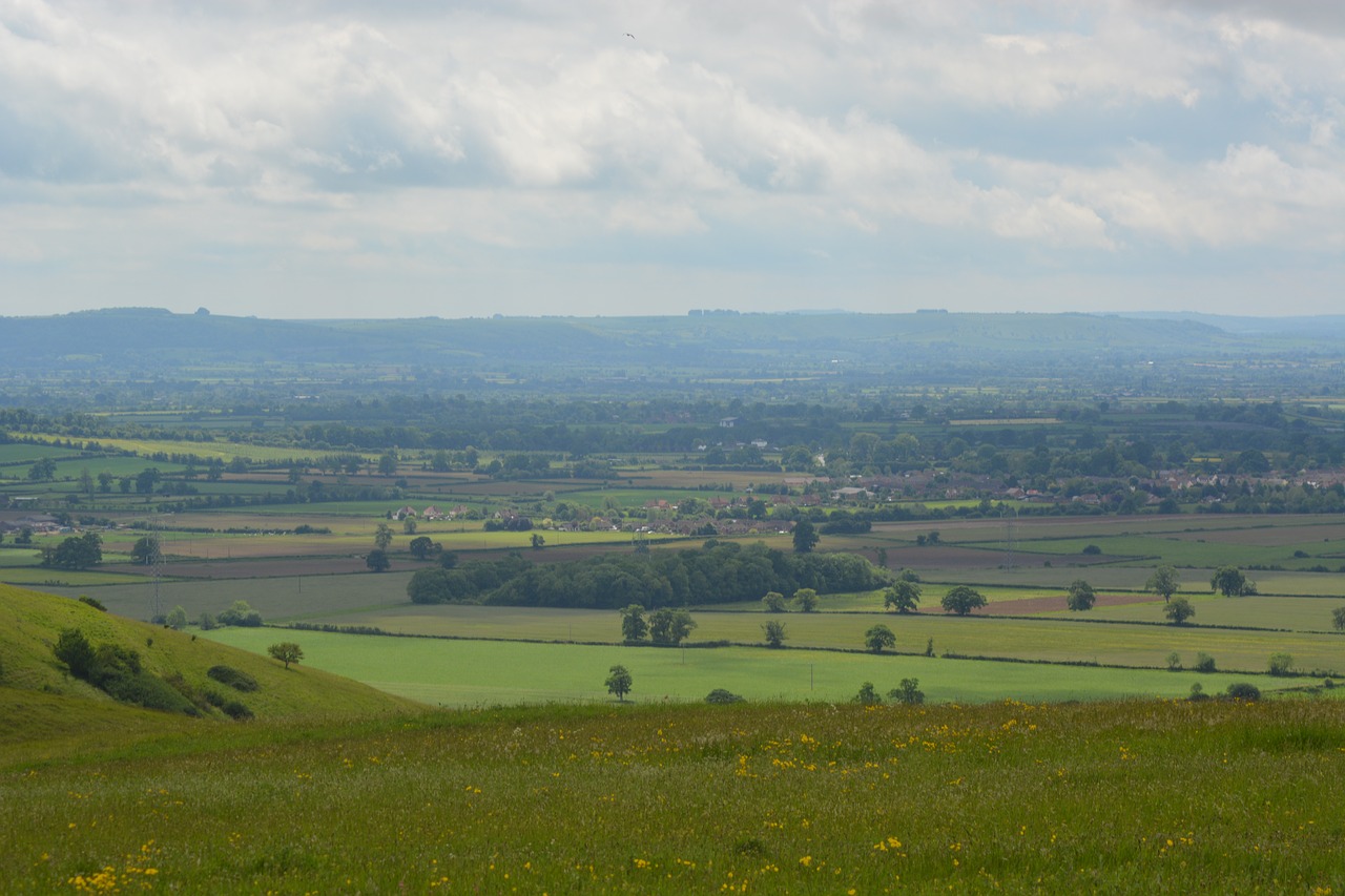 English fields