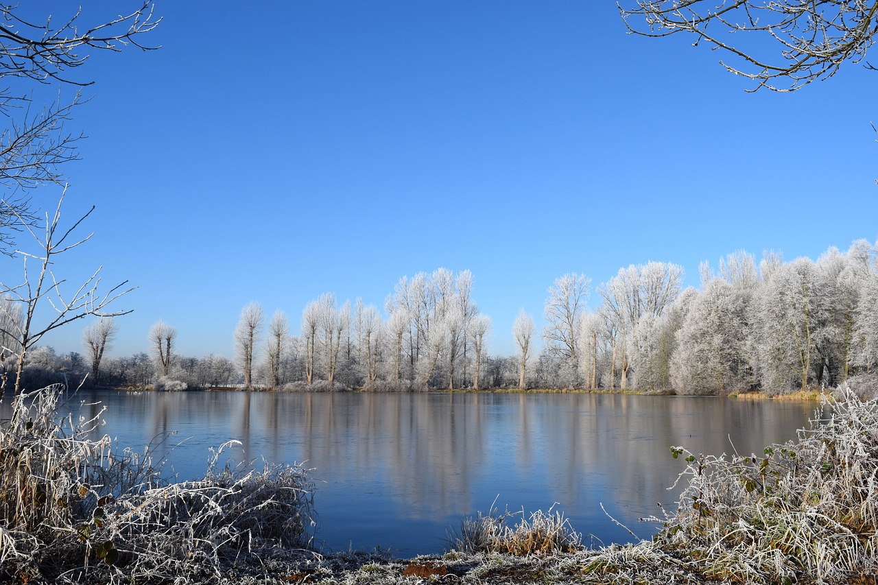 Белое озеро зима