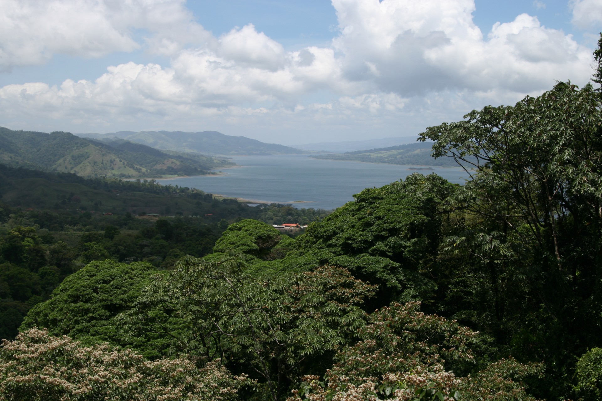 Коста-Рика: дождевой лес