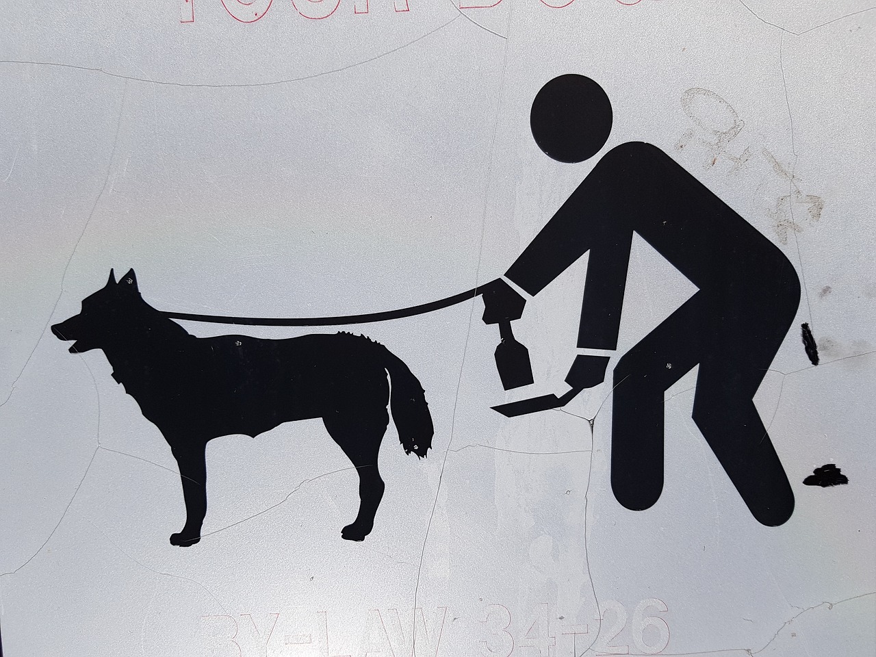 Символы собаки и человека