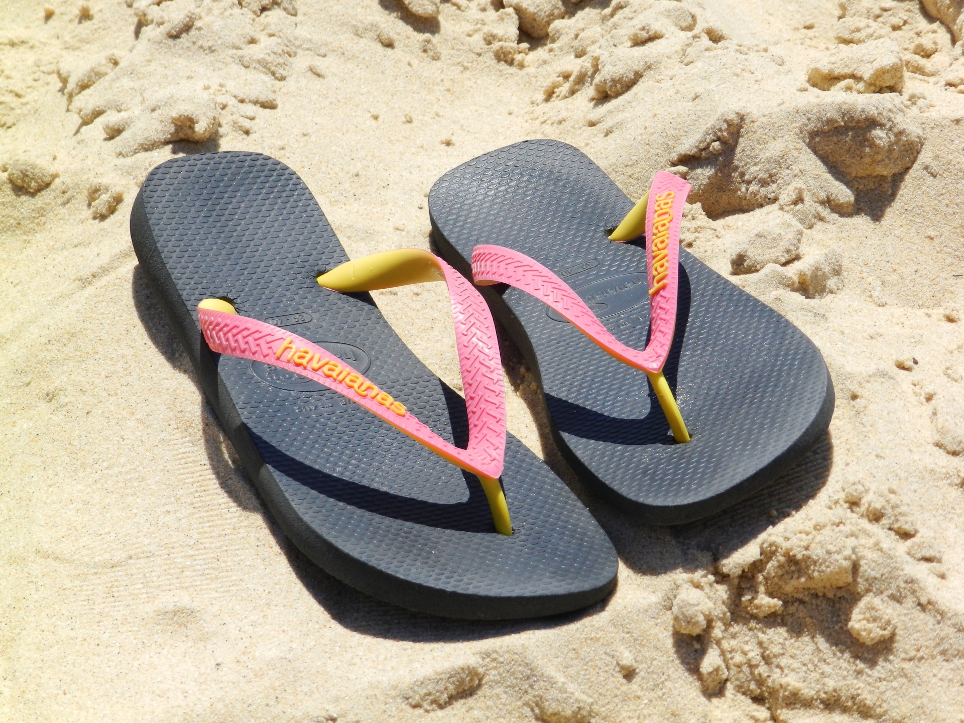 Download Flip Flop Summer Free Photo.