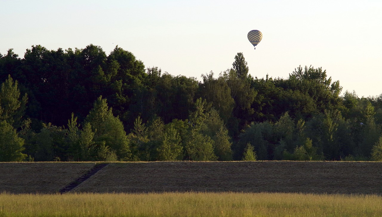 Hot field