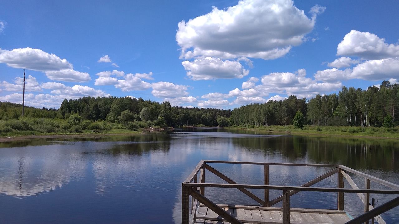 Уок лесное озеро. Озеро Лесное Нахабино. Озеро в лесу в Нахабино.