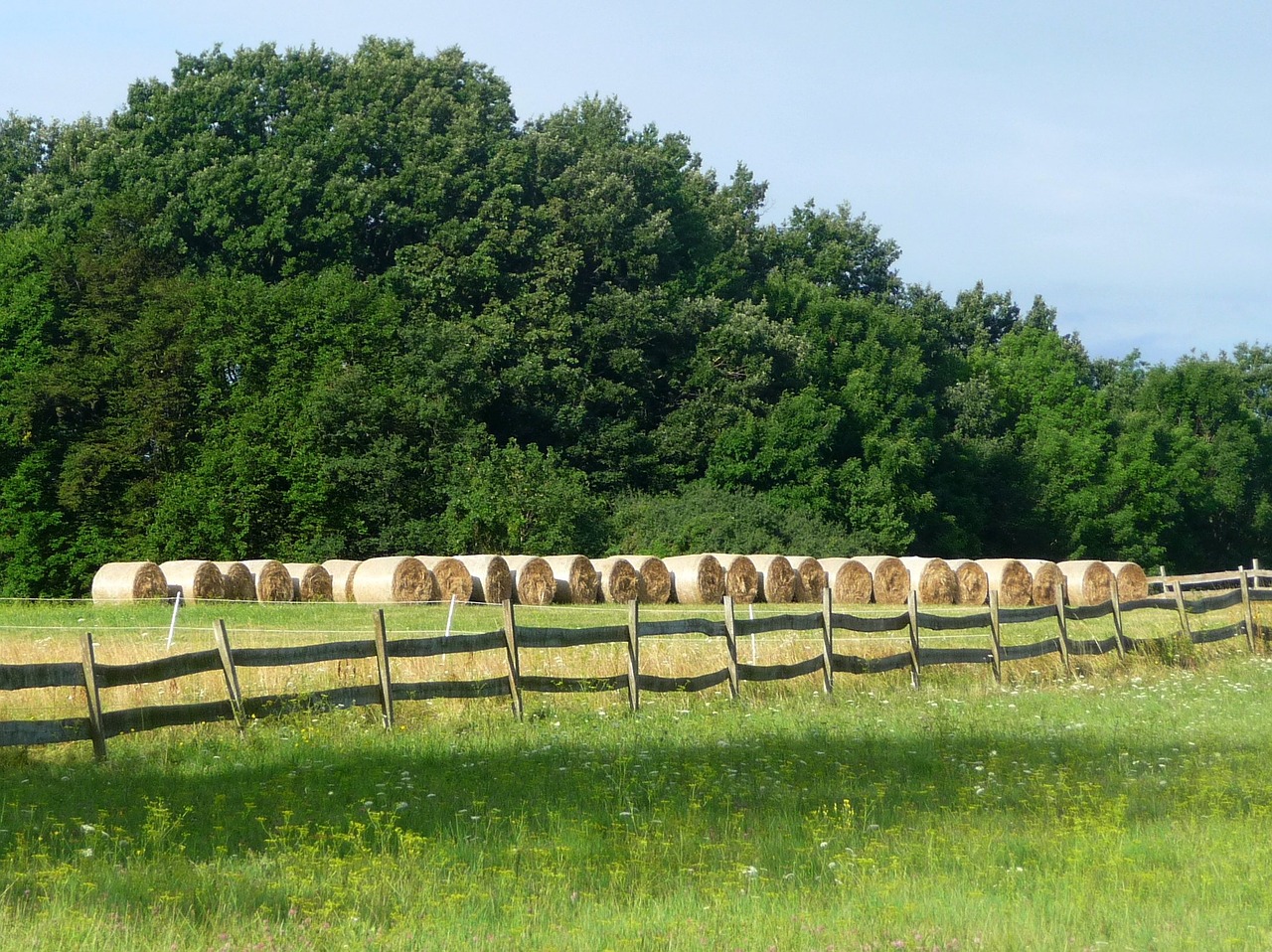 Agriculture and forestry