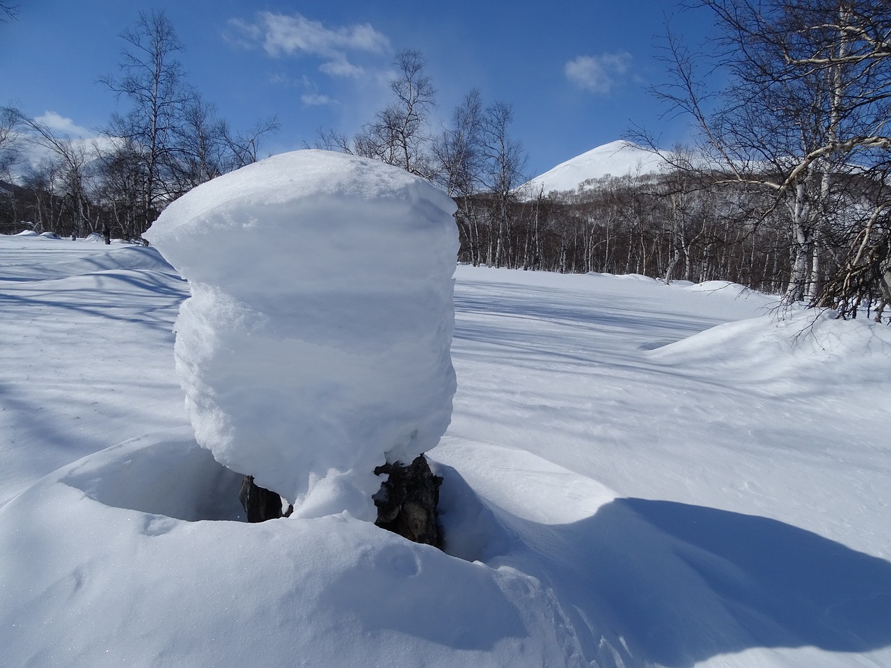 Snow capped перевод. День снежных сугробов картинки. Snowdrift. Snow Stump.