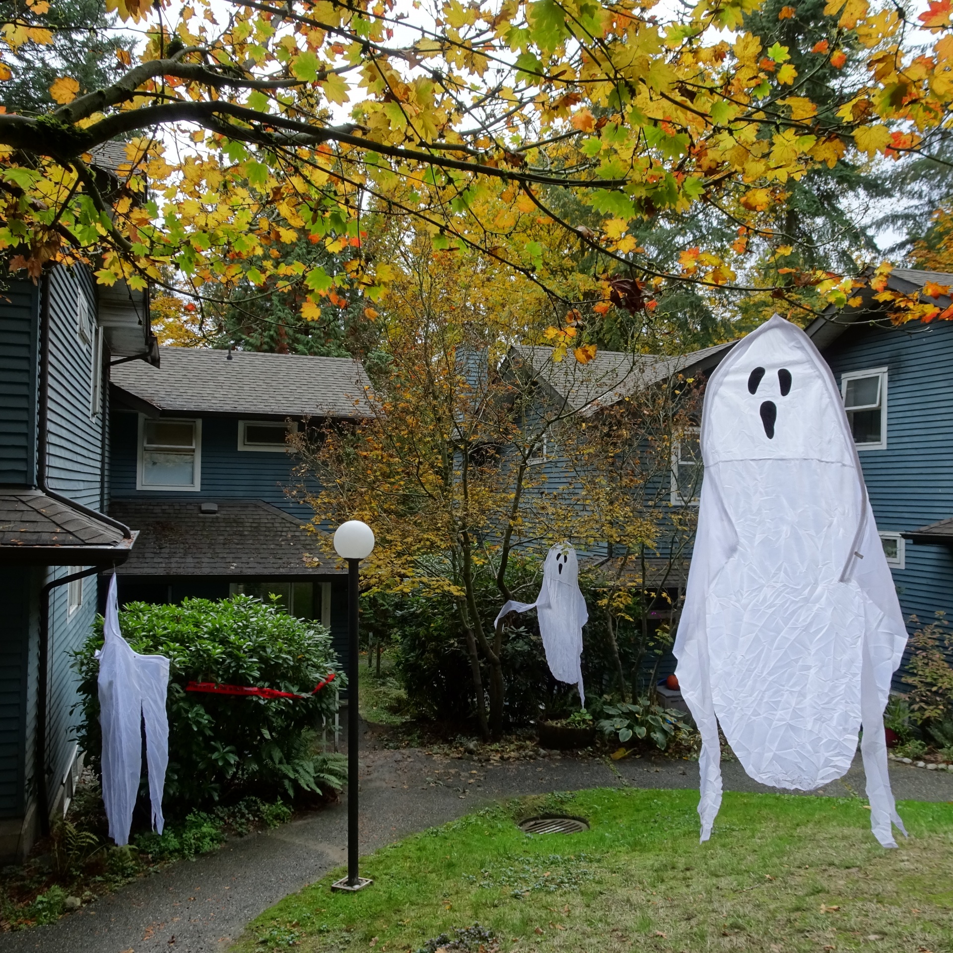 Download Halloween Ghosts Closeup Free Photo.