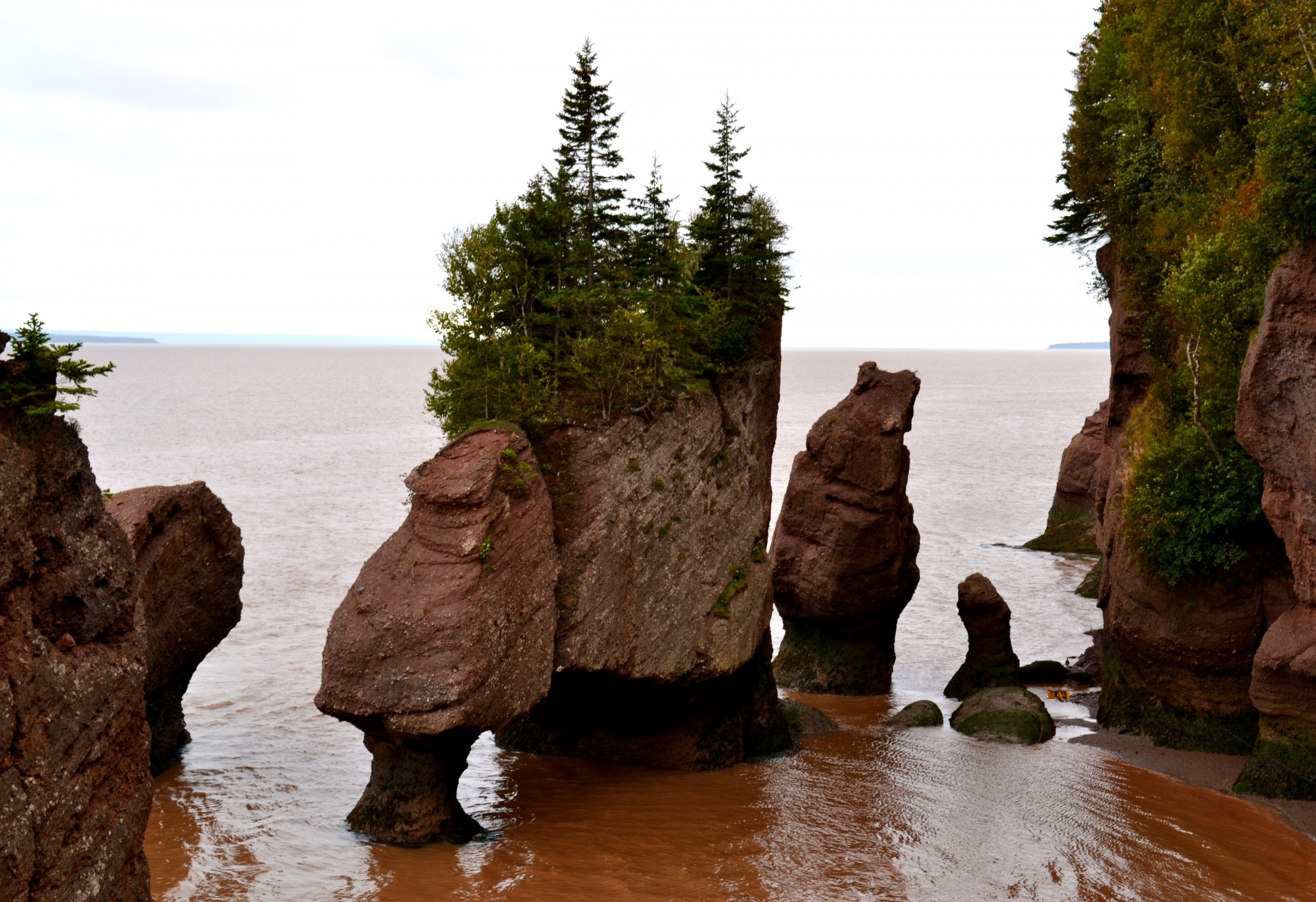 Download Hopewell Rocks <b>Bay</b> <b>Fundy</b> New Brunswick Free Photo.