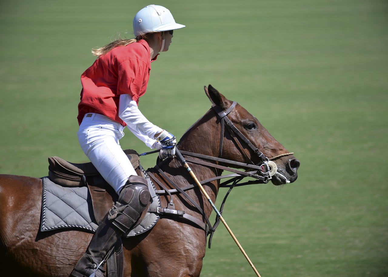 Horse Polo