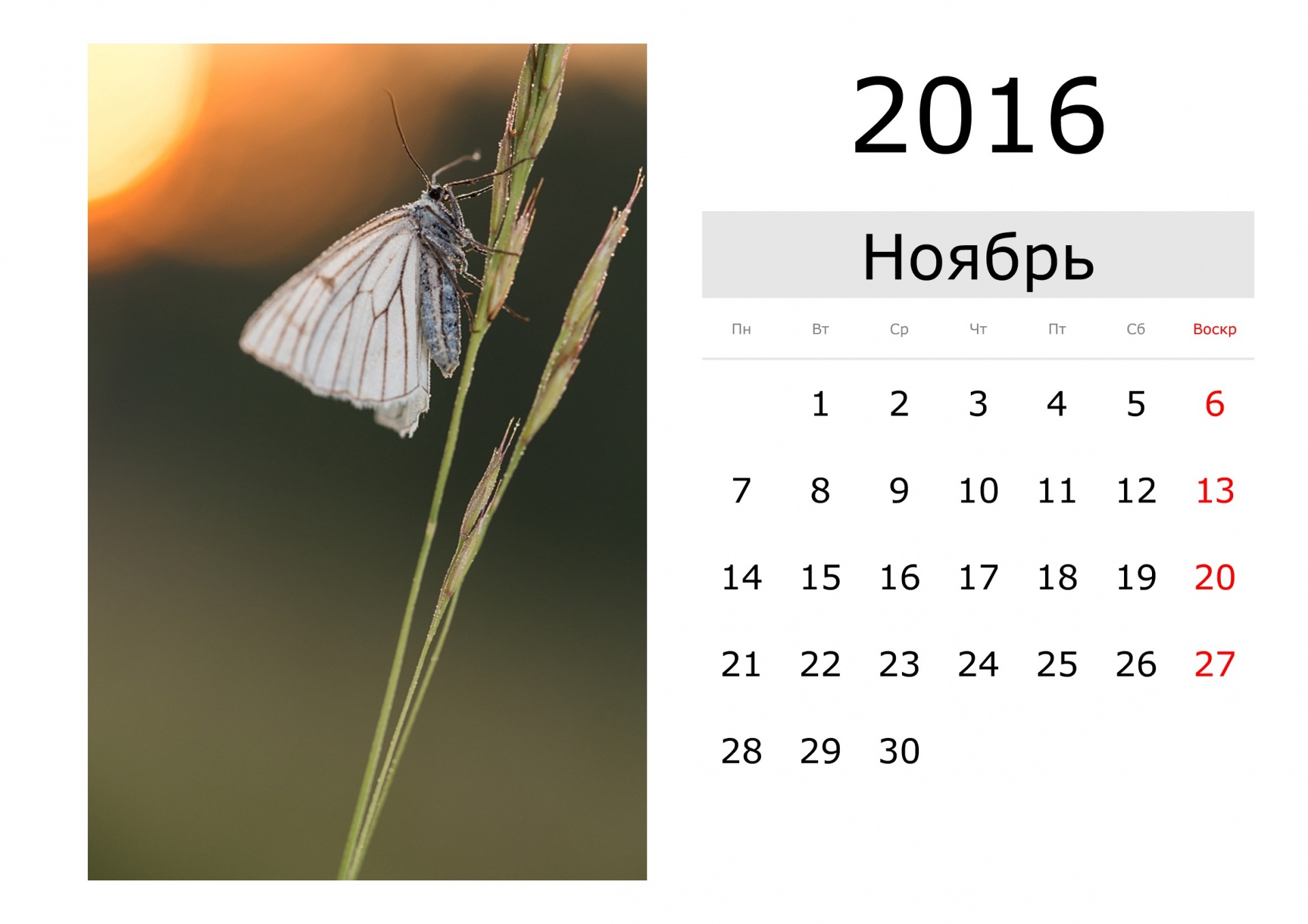 Ноябрь 2016