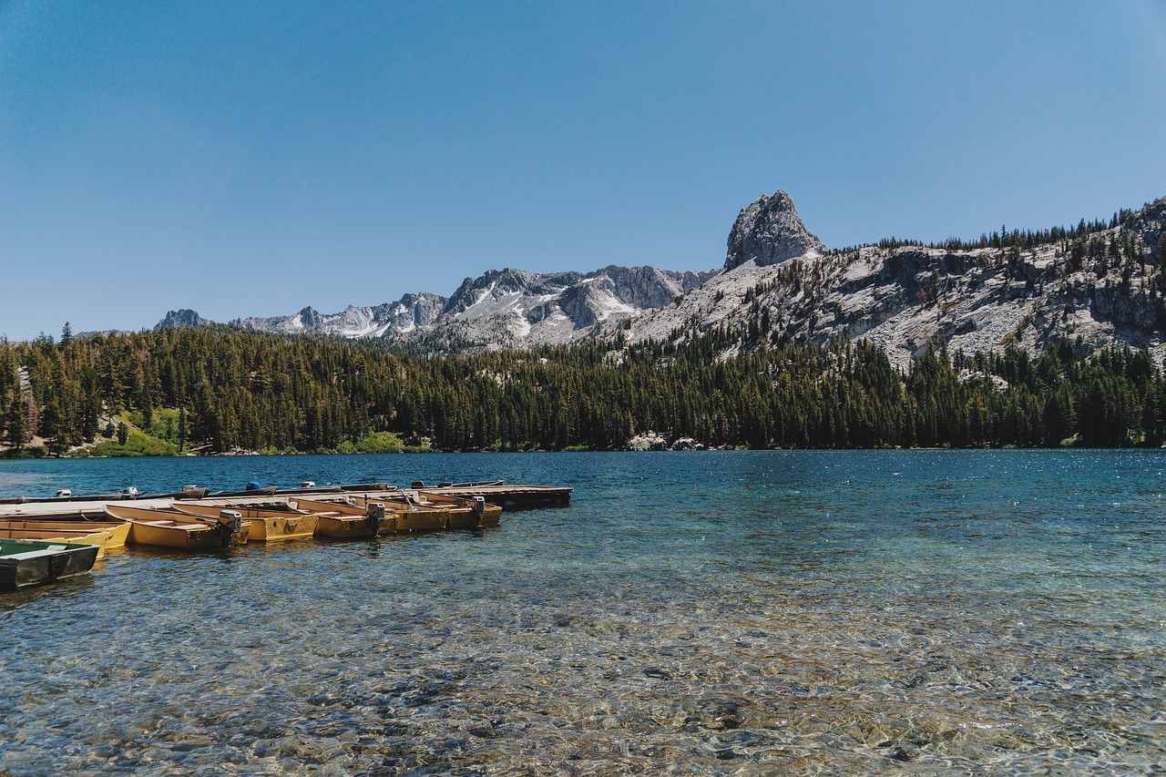 Lake coast. Lake coastline Front.