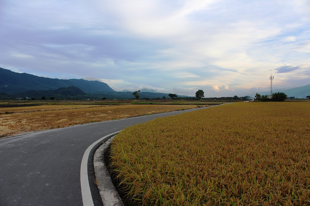 Field roads