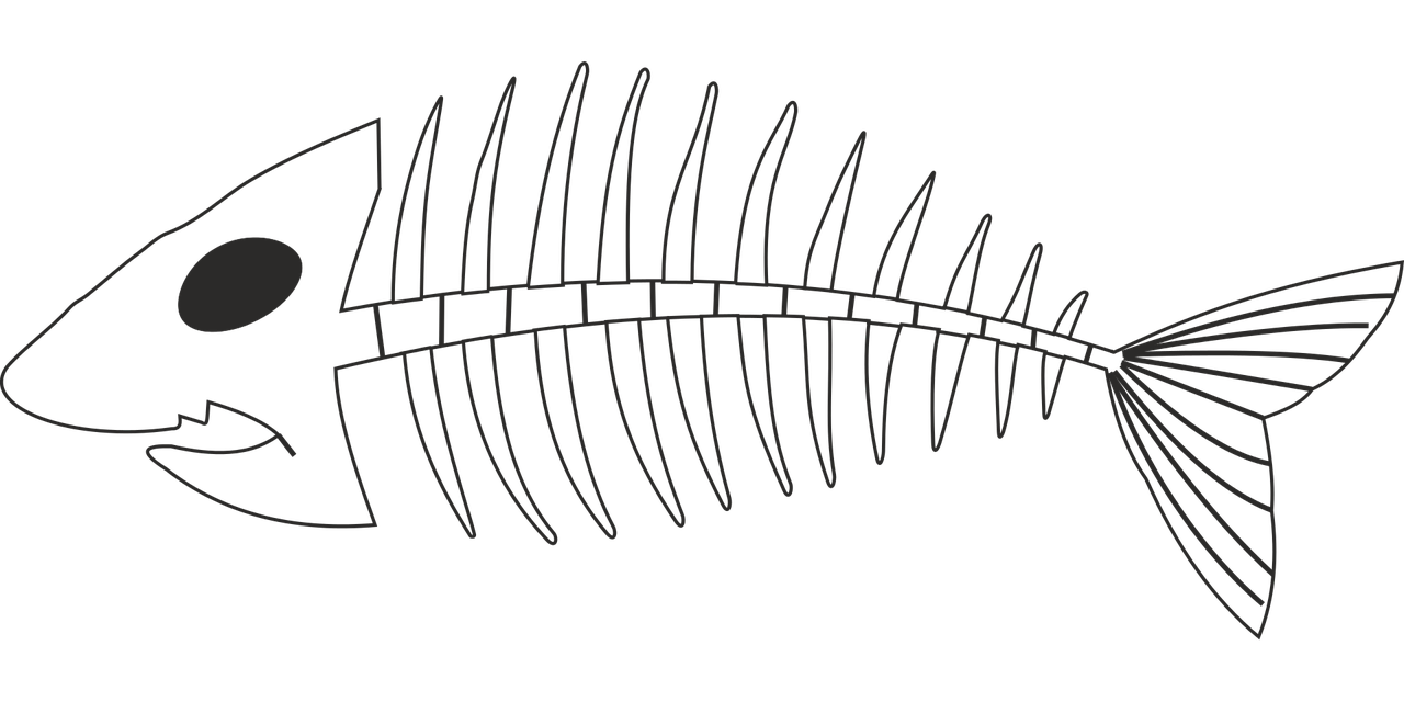 Fish bone. Скелет рыбы. Скелет рыбы рисунок. Скелет рыбки. Скелет рыбы трафарет.