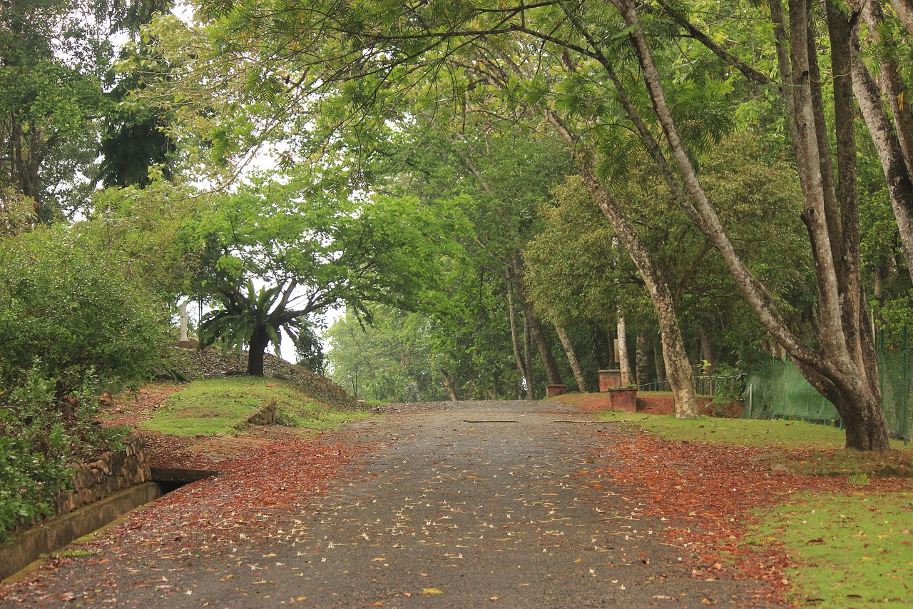 Flowery path for the devastated male lead