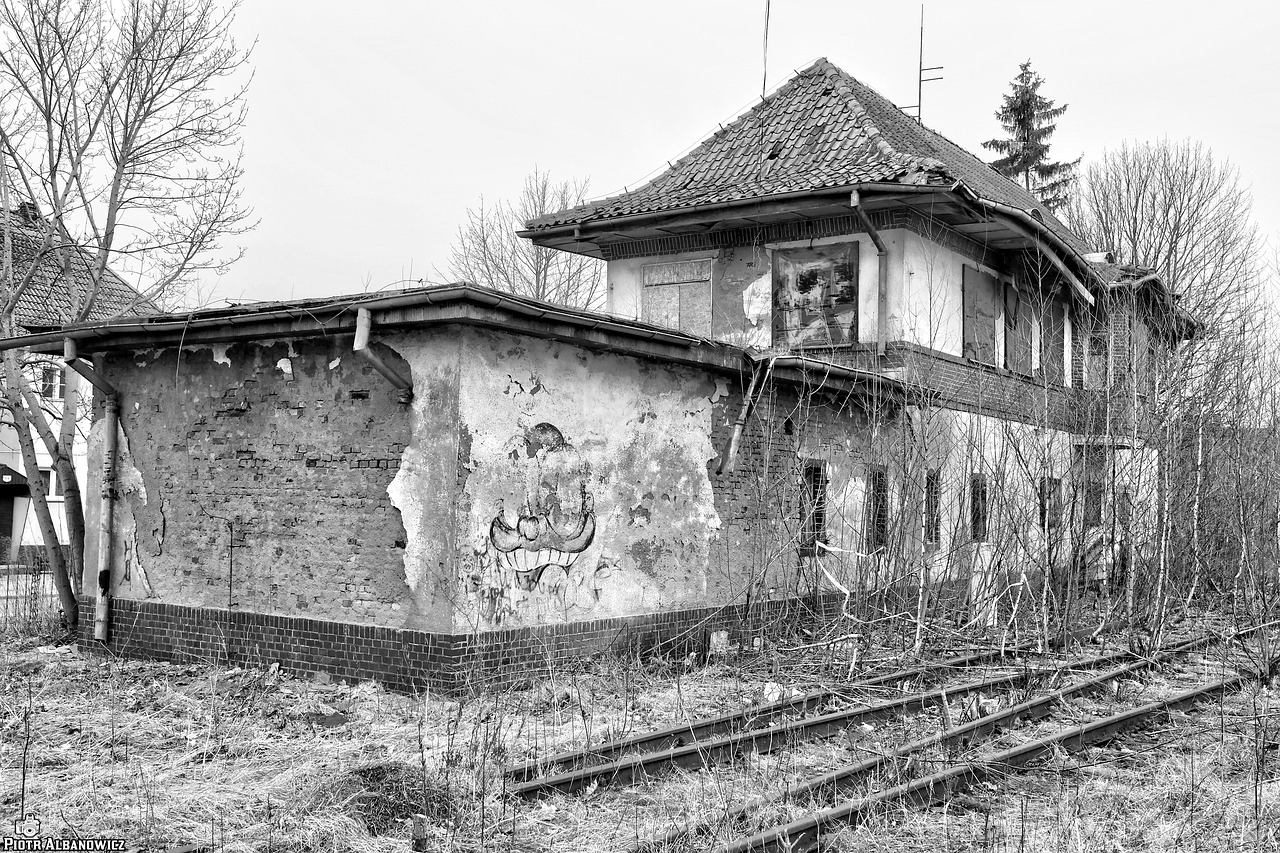 Old k. Старые поезда брошенные.