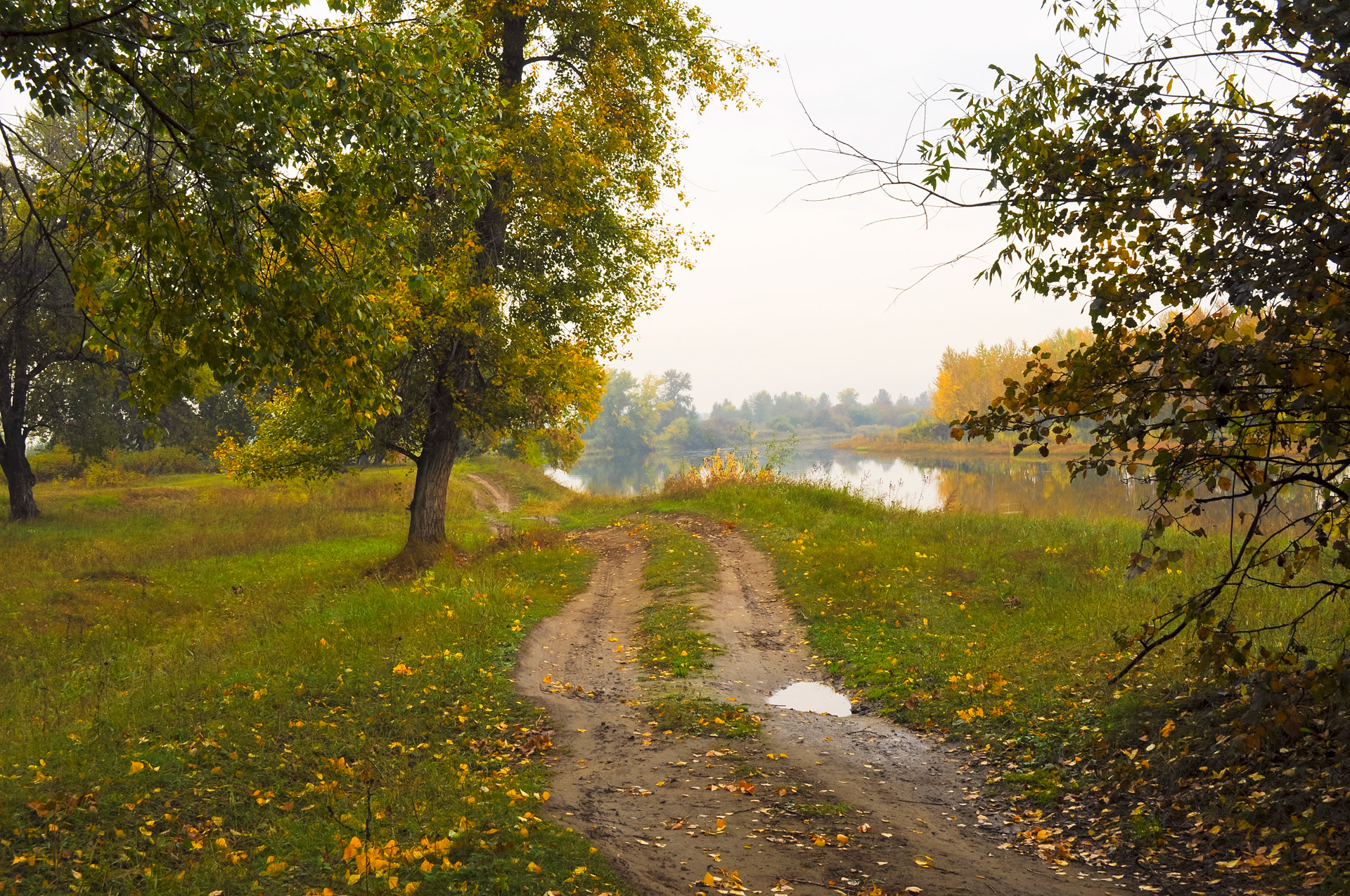 По тропинке запорошеной. Осенняя Проселочная дорога. Пейзаж с лужей. Осенняя Сельская дорога. Осенняя тропинка в деревне.