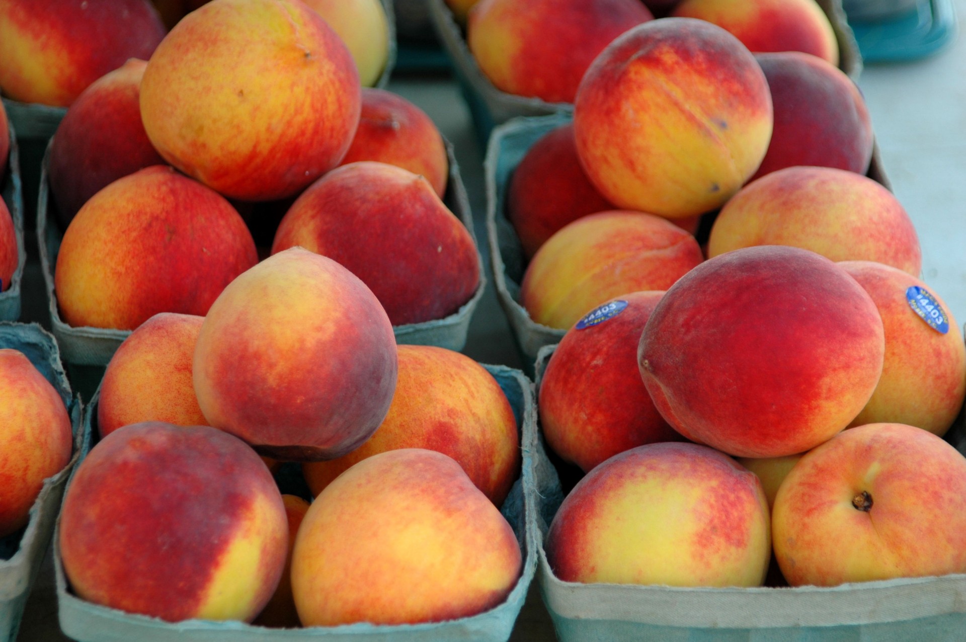 Fresh peaches. Нектарин Старк Делишес. Персик и нектарин. Персики на рынке. Персики в огороде.