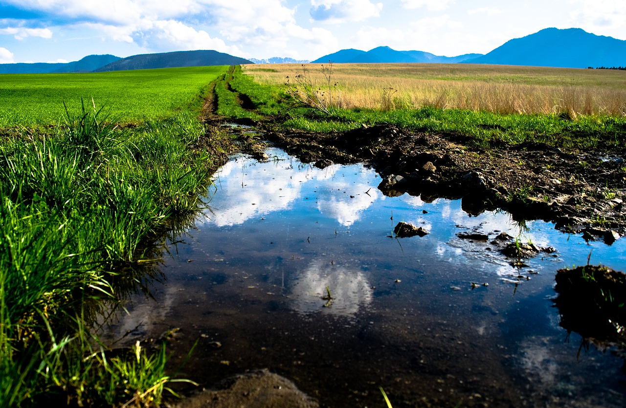 Поле вода. Лужа на газоне. Лужайка с лужей. Поле без воды. Луг Луговой лужа.