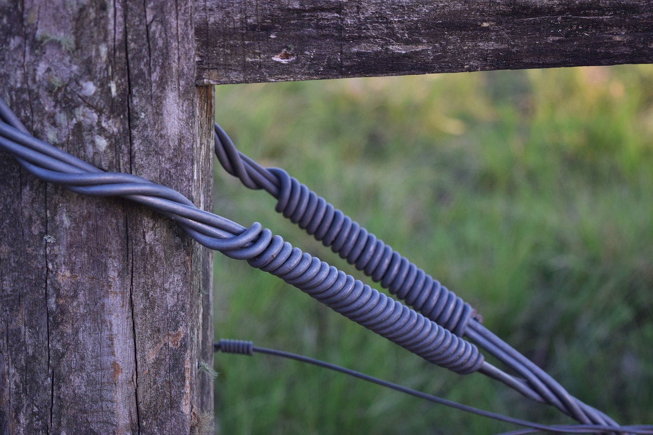 Field wiring. Электропровода. Поле провода. Кабель в поле. Фото провод торчит.