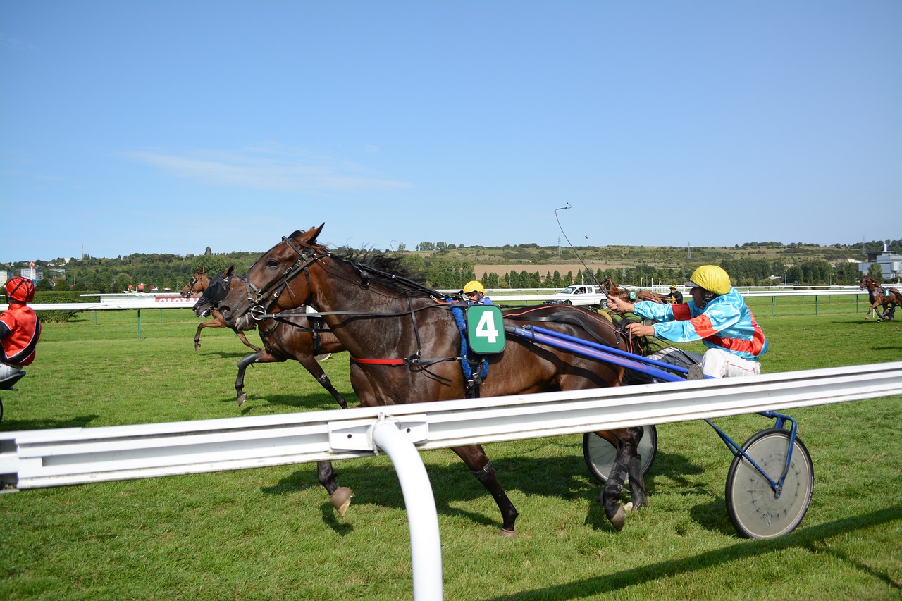 Race competition. Лошадиные скачки. Препятствие для рысака. Лошадь на соревнованиях. Наездник скачек конских.