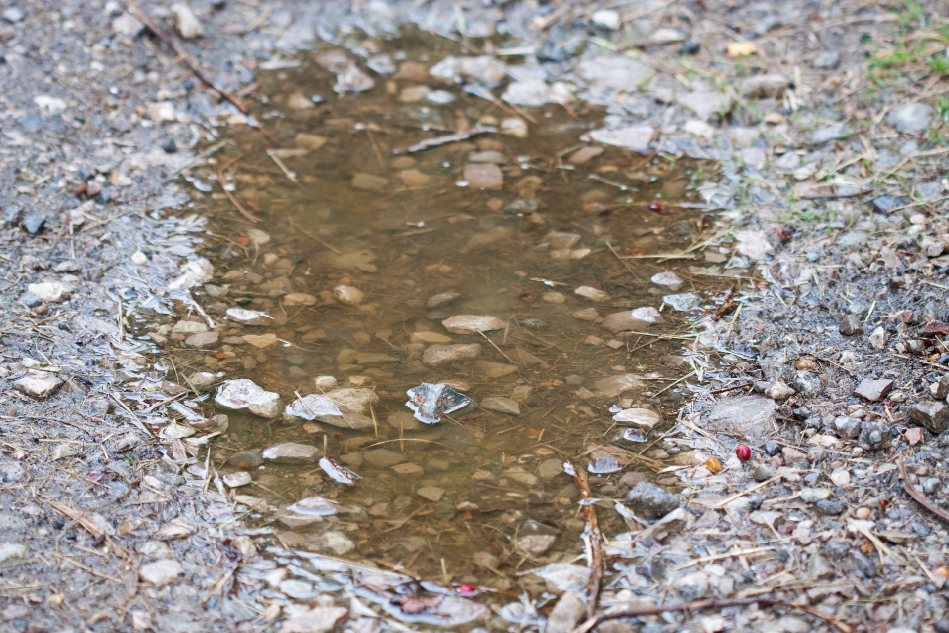 Puddles перевод. Пузыри на лужах. Дождь лужи. Маленькая лужа. Маленькие лужи.