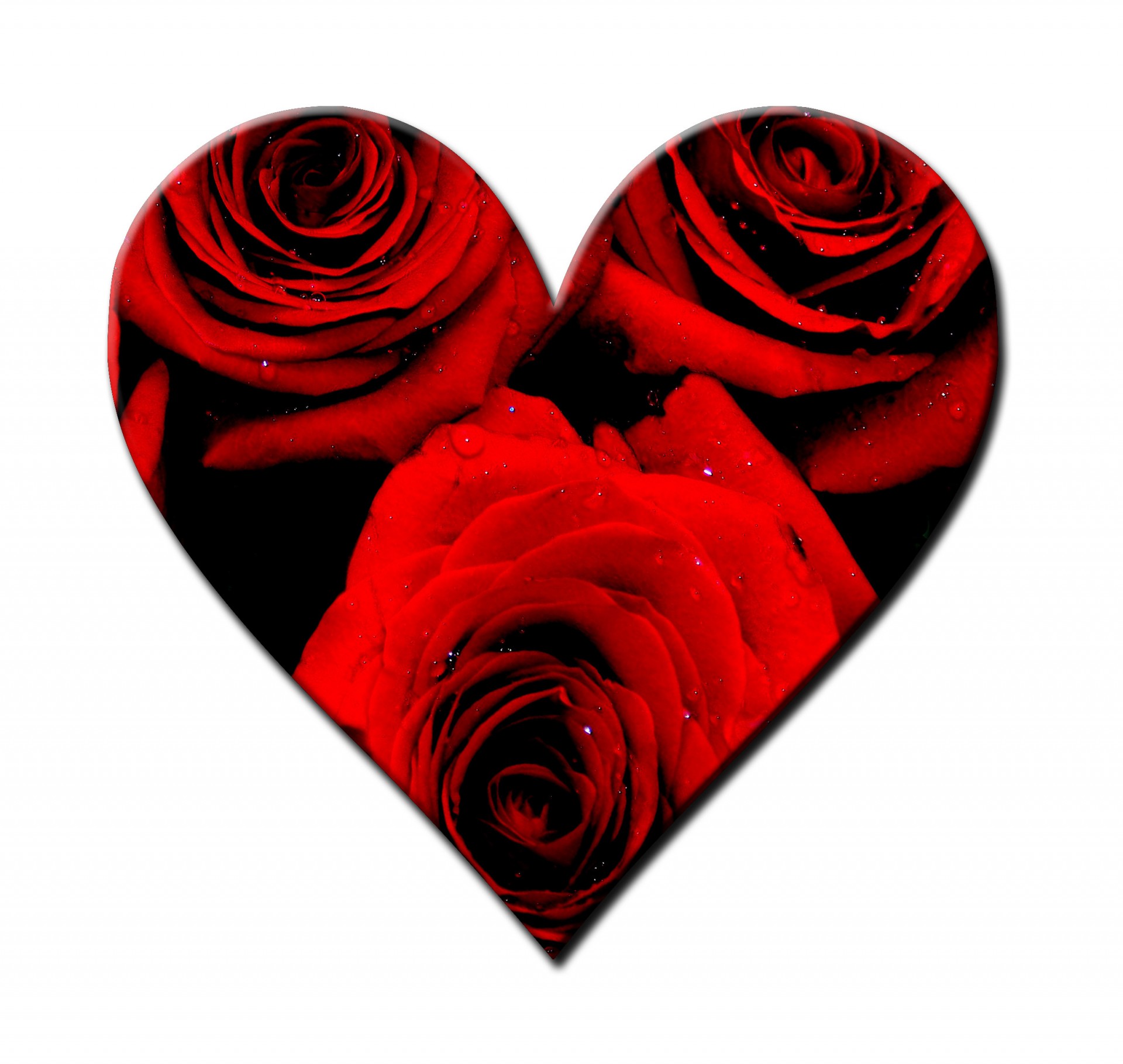 Красные розы и сердечки
