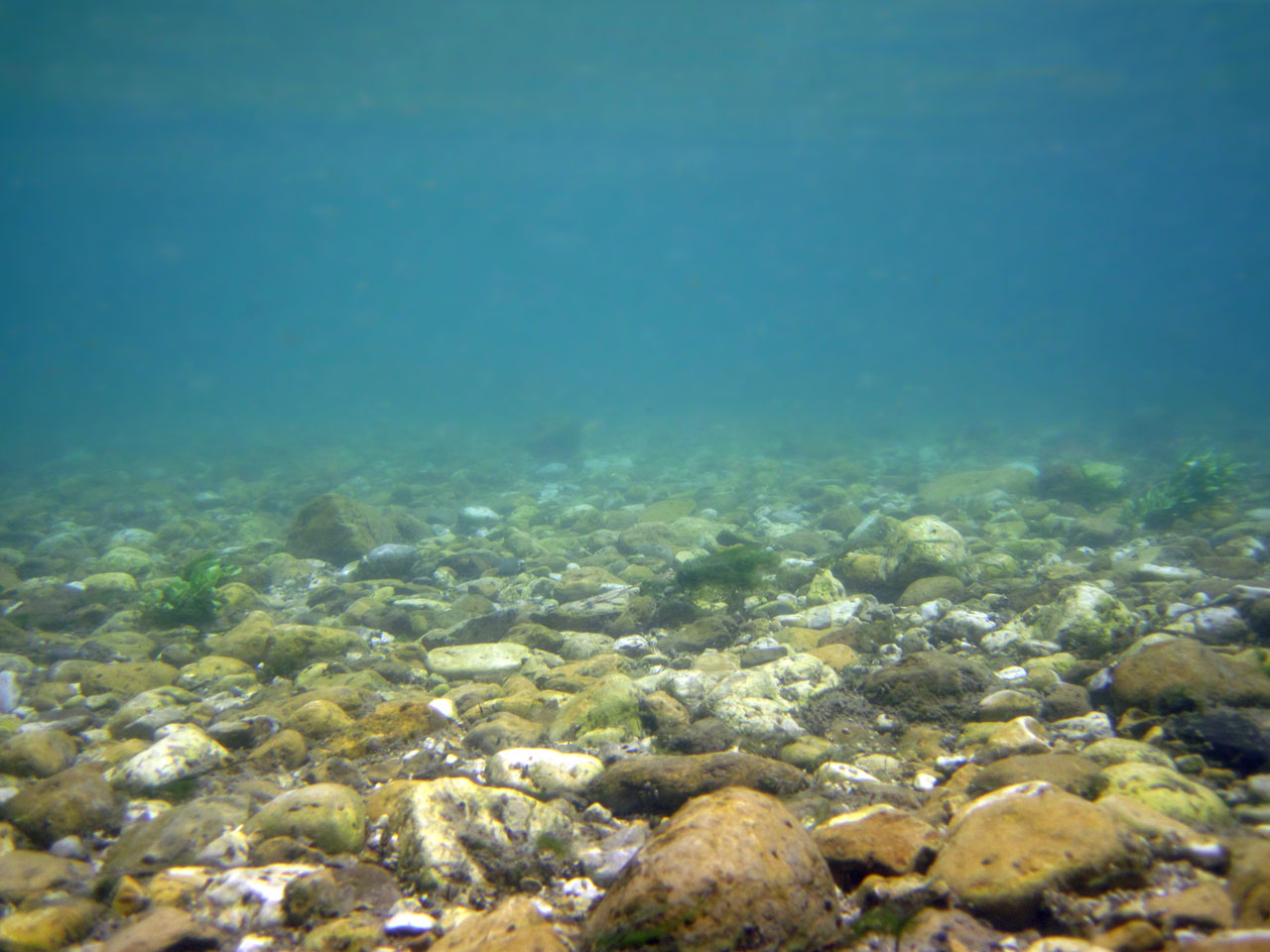 Под водные реки. Дно реки. Река под водой. Каменистое дно моря. Дно водоема.