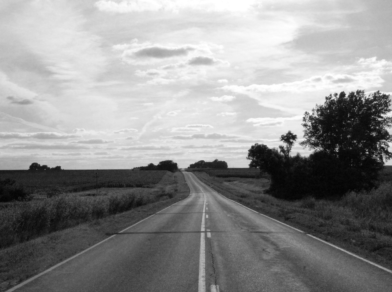 Дорога черно белое фото