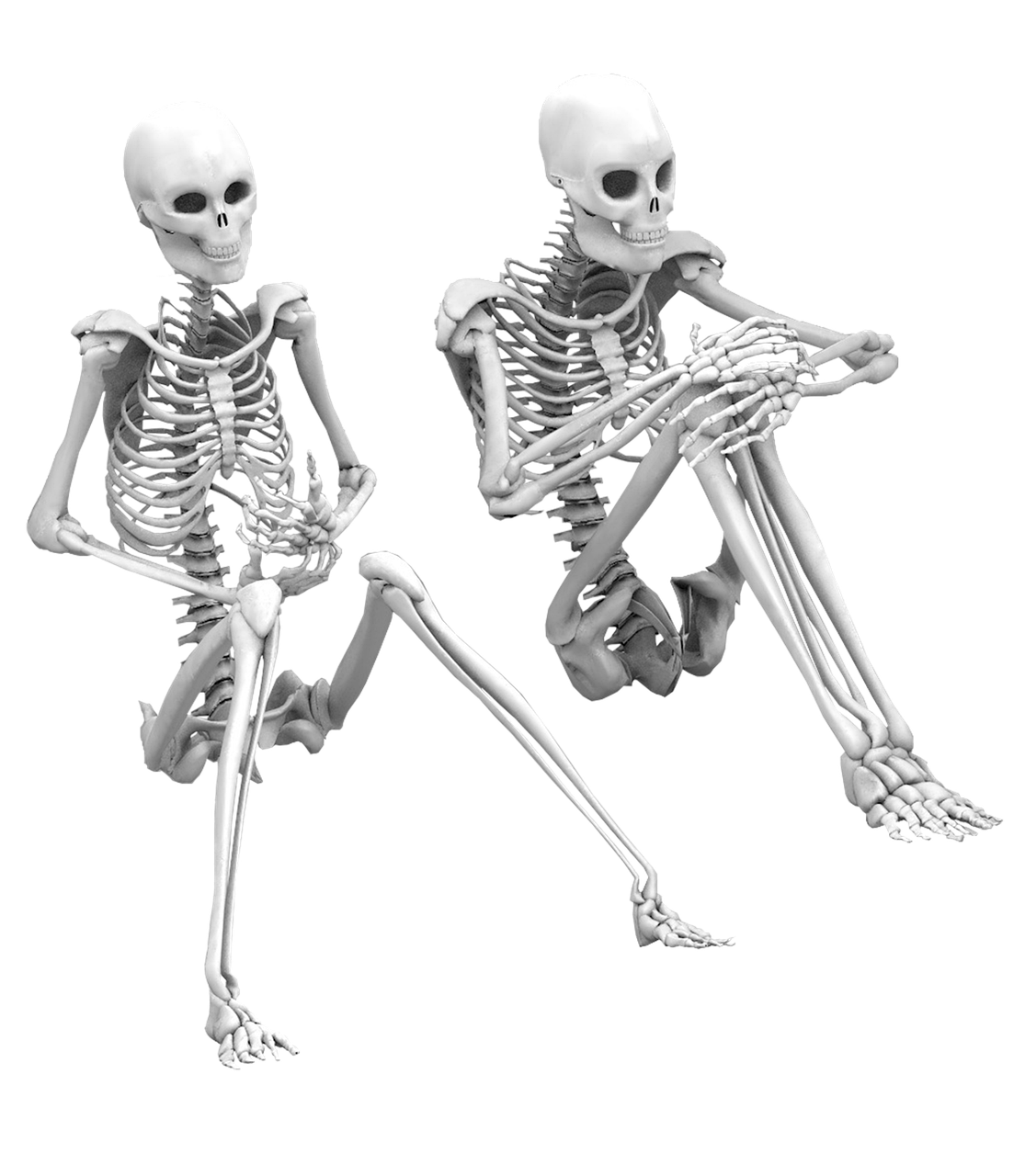 Skeleton png. Скелет человека. Скелет сидит. Скелет человека сидит. Сидячий скелет.