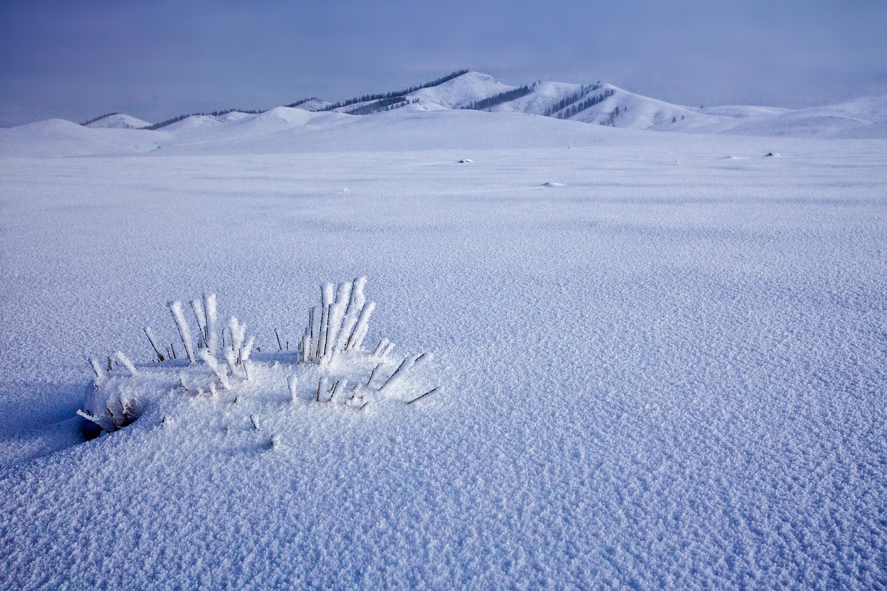 Snowfield