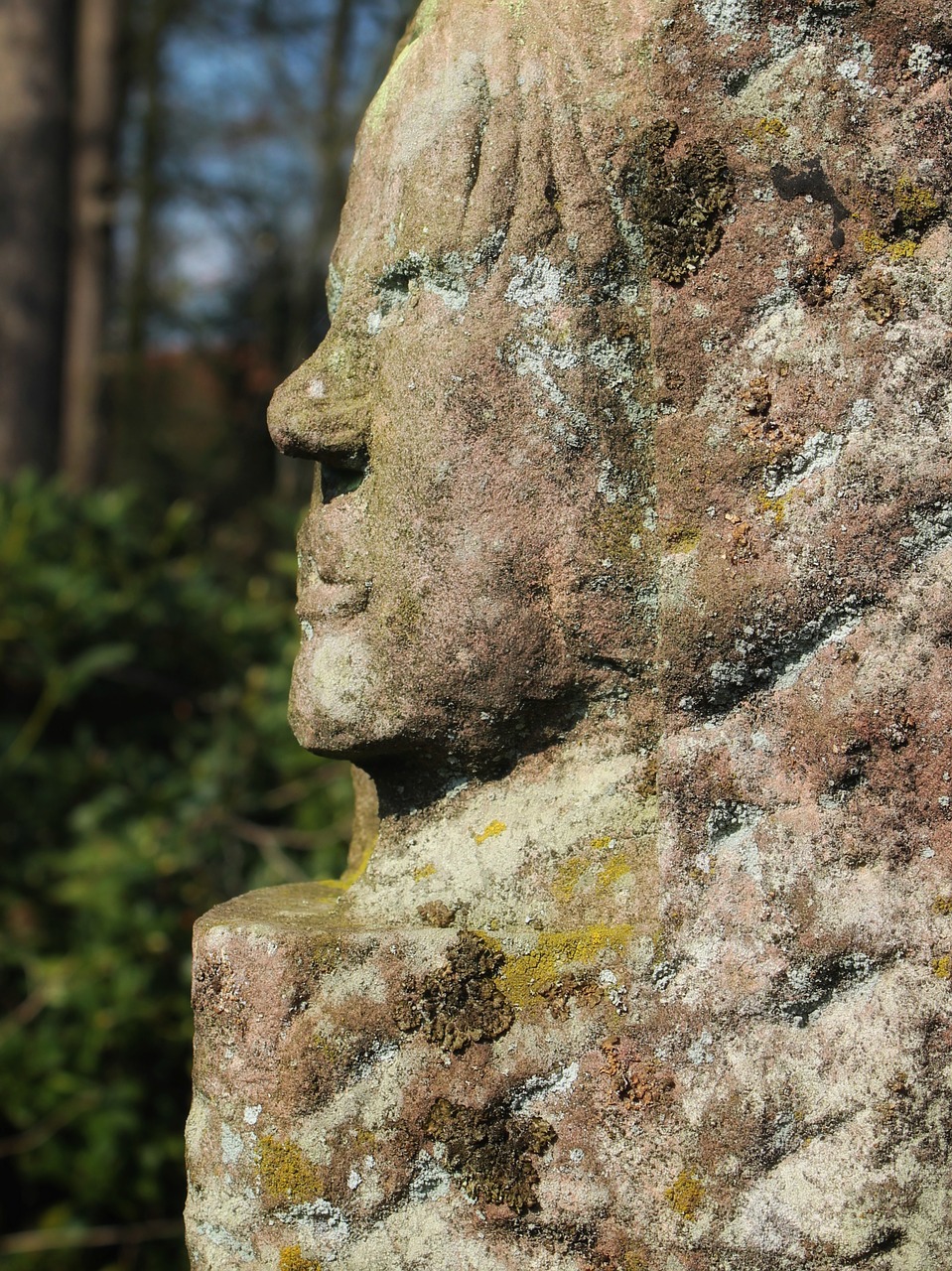 Видео каменные лица. Каменное лицо. Камень с лицом. Камень с лицом человека. Камень с каменным лицом.