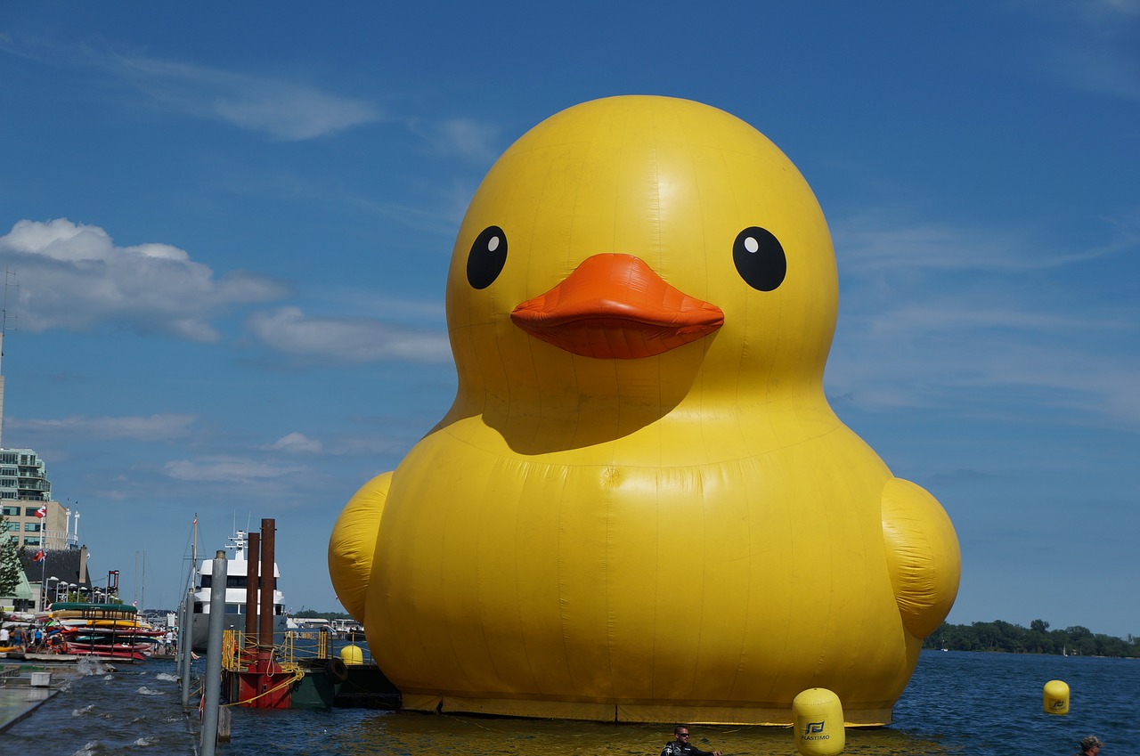 Rubber duck фото