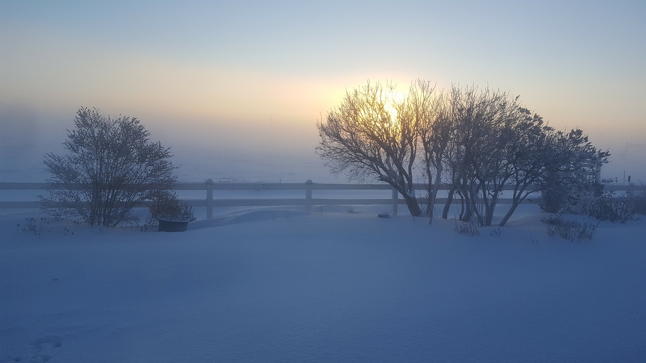 Snowy morning fred. Снежное утро. Туманное зимнее утро. Зимний день. Зимний день в городе.